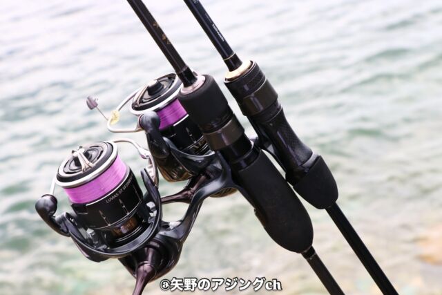 嬉】22ステラの鱗付けアジングで釣れた魚は・・・・・｜あおむ
