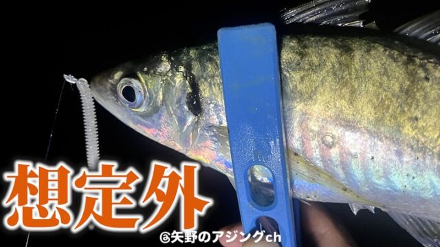 最新版】予算2万で揃えるアジング最強タックル｜あおむしの釣行記4