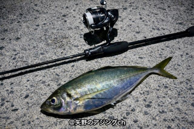 オリムピック】ヌーボコルト プロトタイプ612L－Tのインプレ