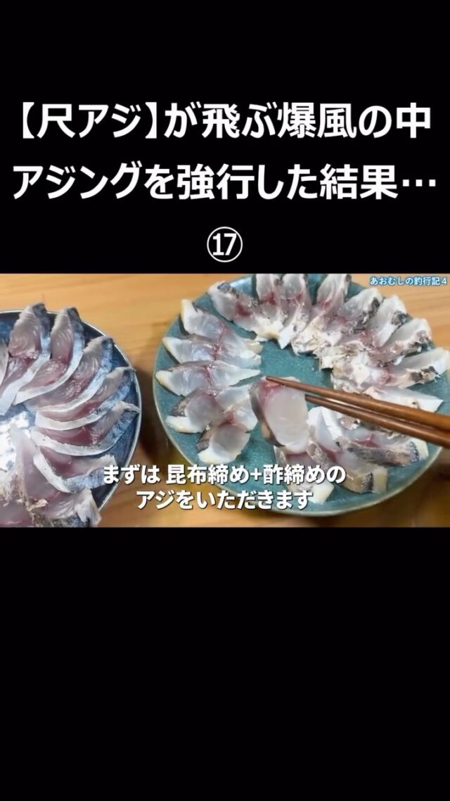 ライトゲーム、フラット＆ロックフィッシュ｜あおむしの釣行記4