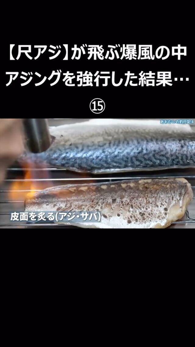 ダイワ 月下美人】ソードビームをアジングに使ってみた感想！｜あおむ